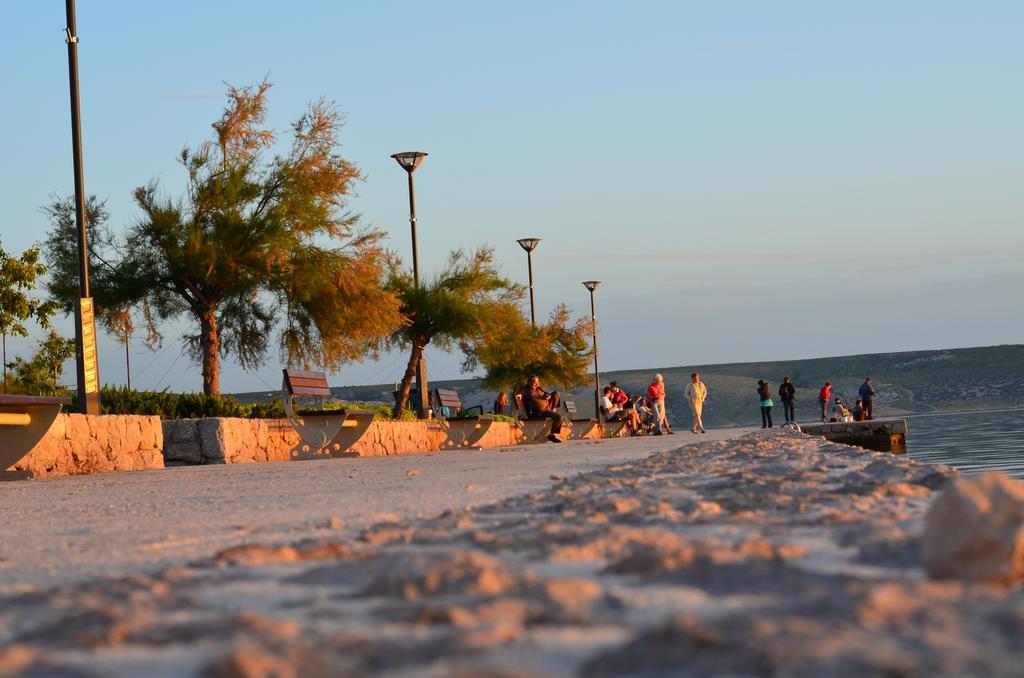Apartments Dalmacija Starigrad Paklenica Dış mekan fotoğraf